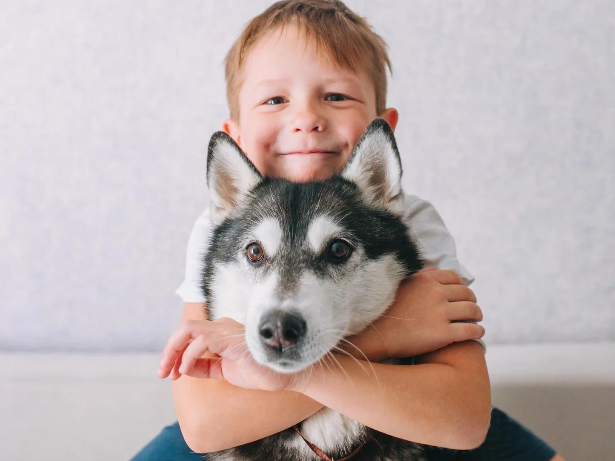 Como ensinar as crianças que o cão não é um brinquedo: respeito, sinais e prevenção de mordidas
