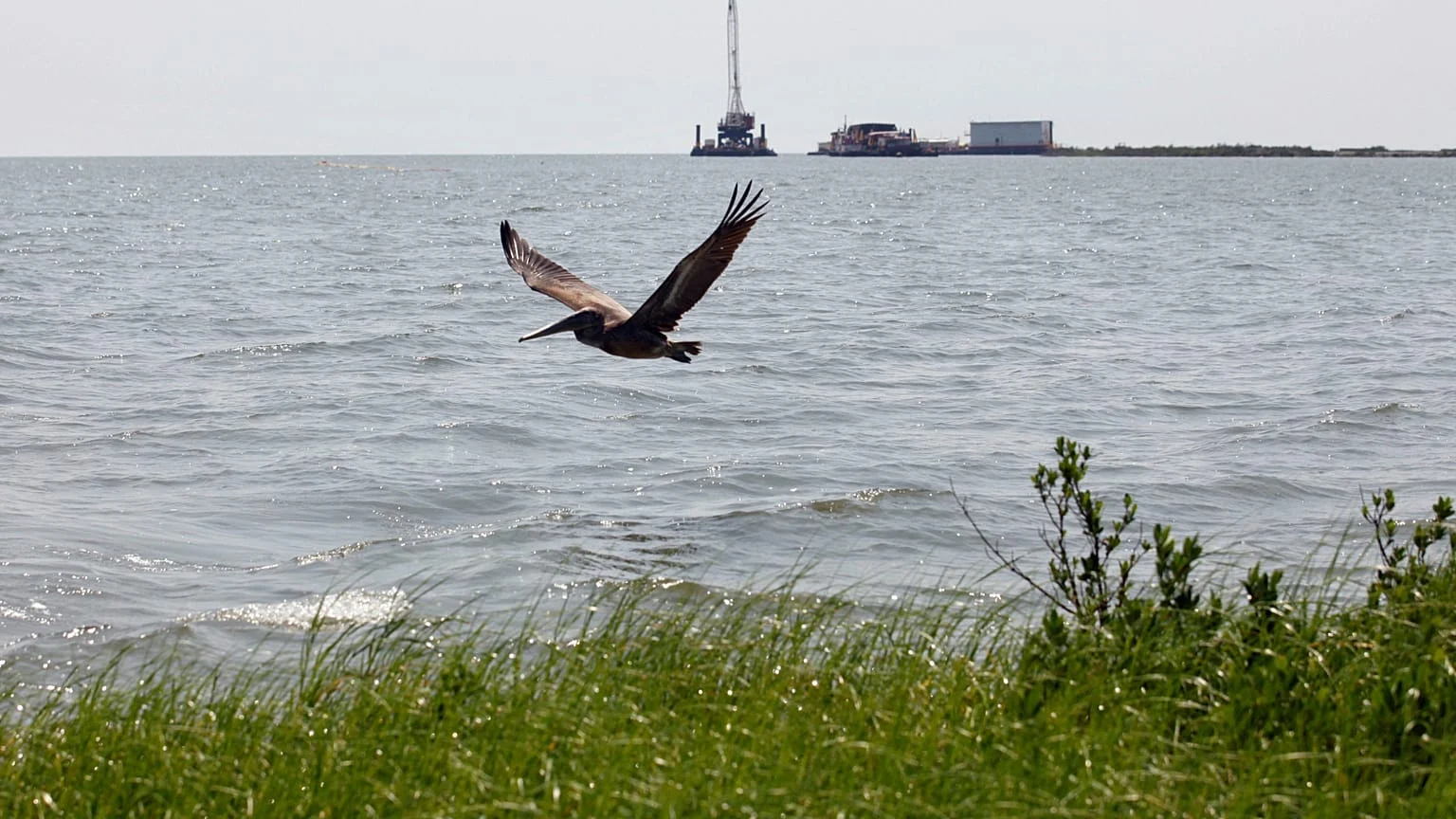 Multa recorde à Third Coast após derramamento de mais de 4 milhões de litros no Golfo do México