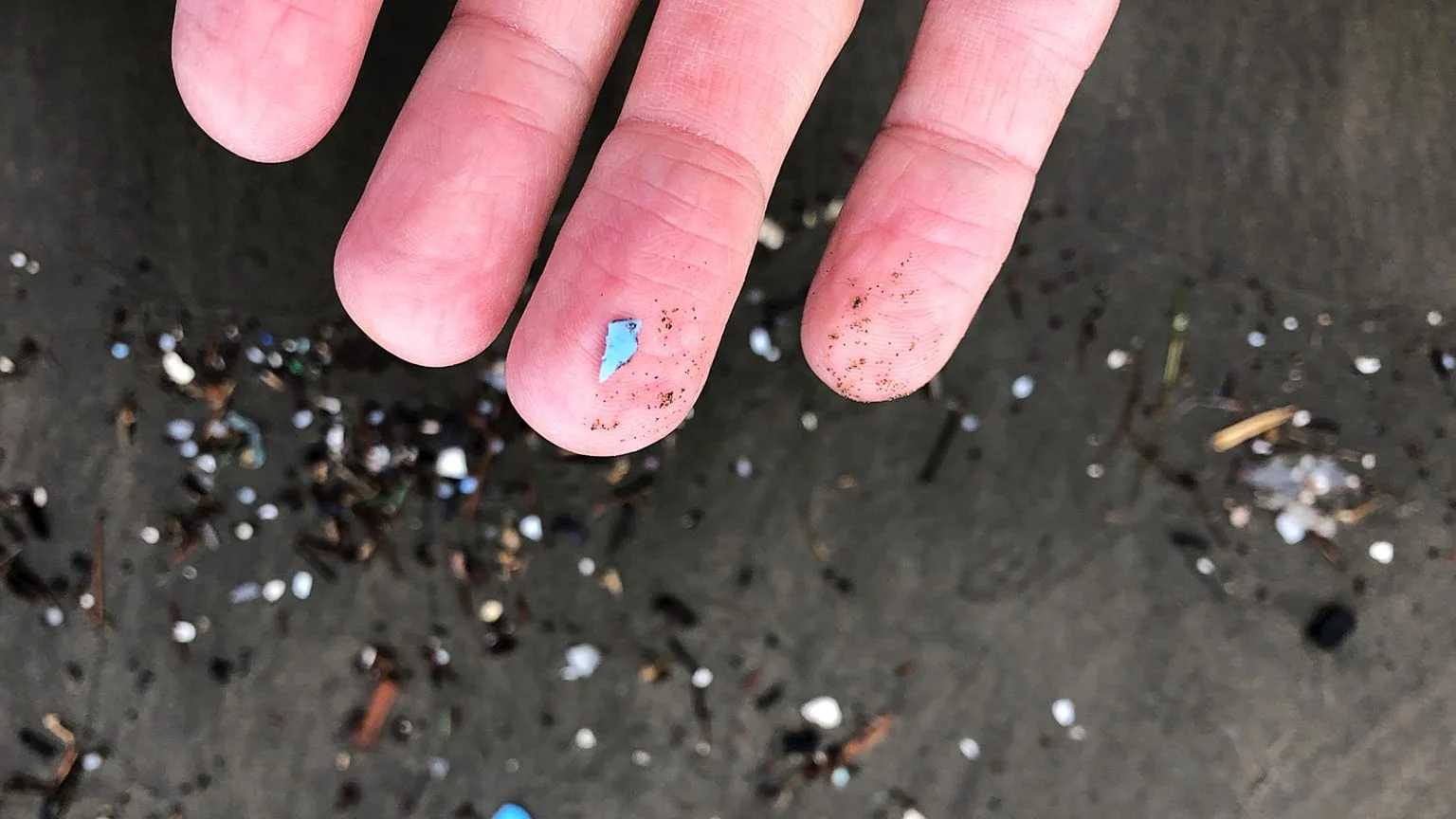 Microplásticos minam o escudo oceânico contra o aquecimento global