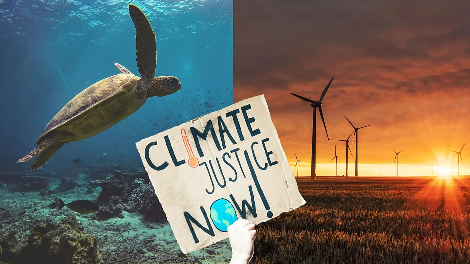 Cinco avanços climáticos de 2025 que iluminaram nosso caminho: da justiça internacional ao boom da energia verde