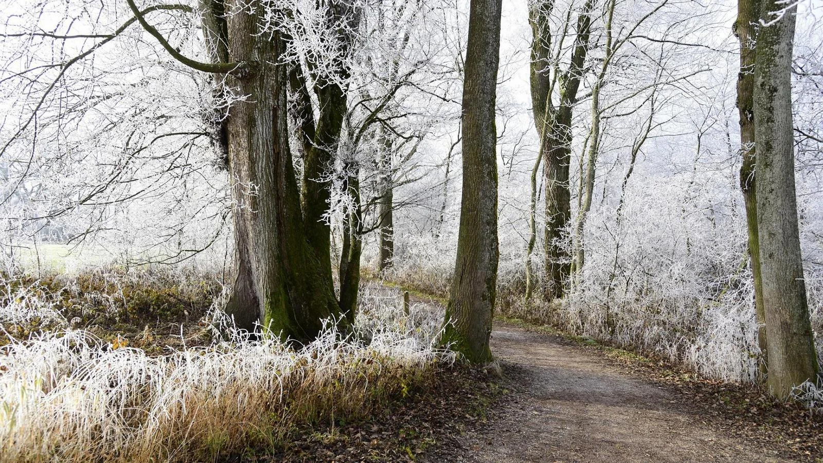 Solstício de Inverno: o dia mais curto do ano e o início do inverno astronômico