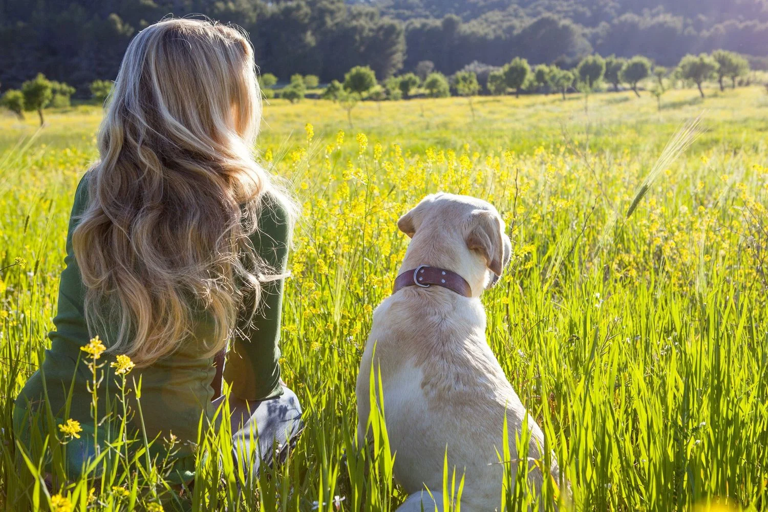 Estudo britânico indica que a morte de um animal de estimação pode provocar luto patológico