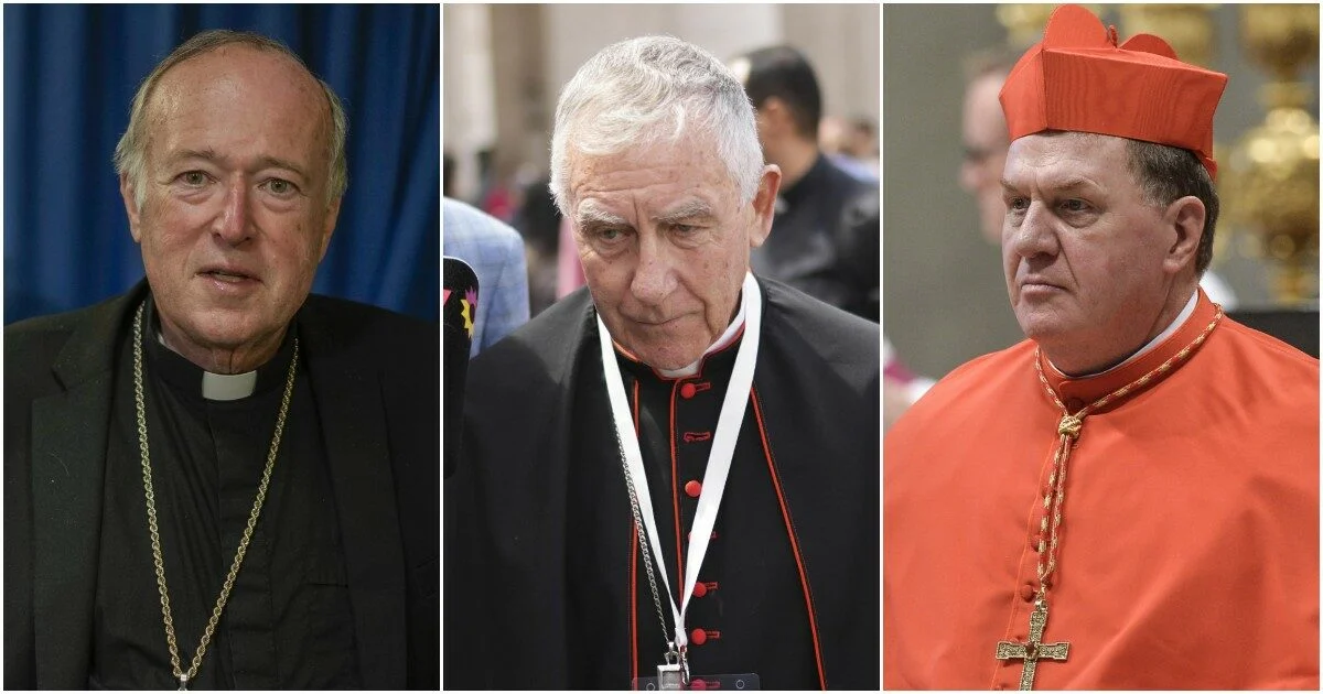 Três cardeais dos EUA criticam a política externa de Trump: apelo por uma paz justa e multilateralismo