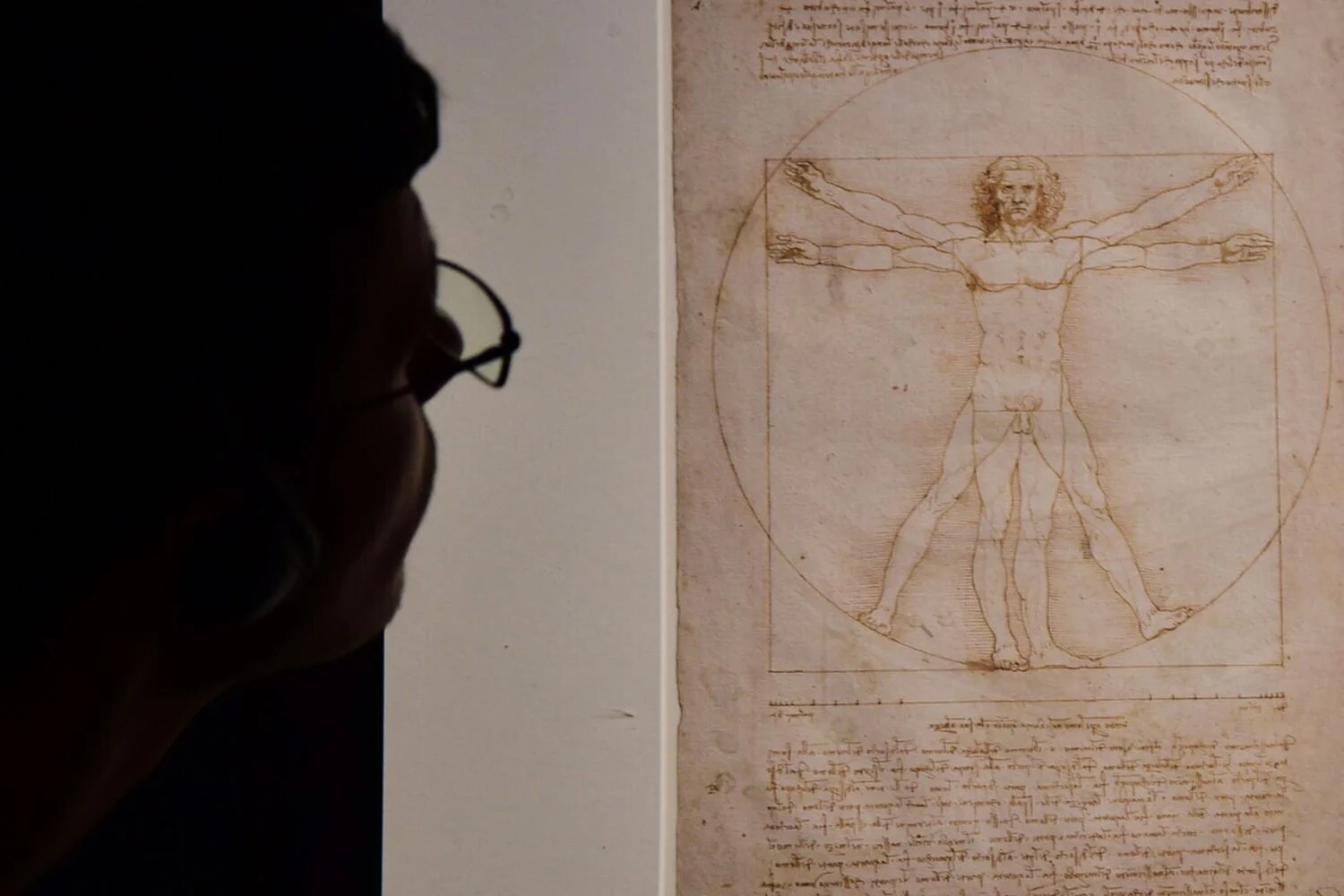 DNA de Leonardo: vestígios genéticos em desenhos podem autenticar obras-primas