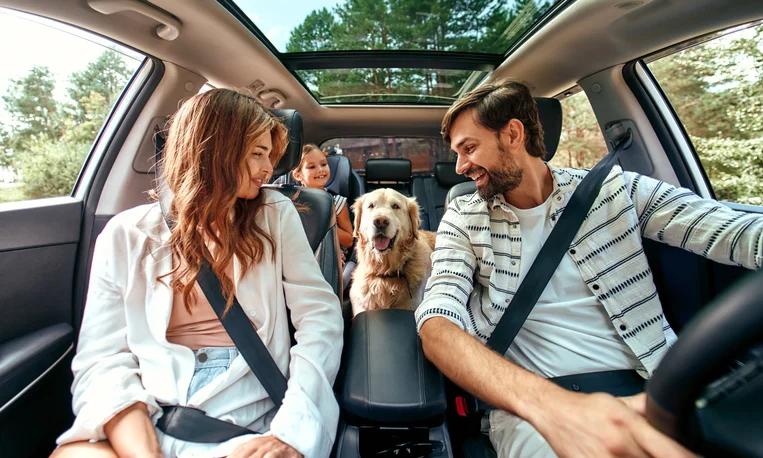 Viajando com seu amigo de quatro patas: Dicas e Regulamentos Importantes