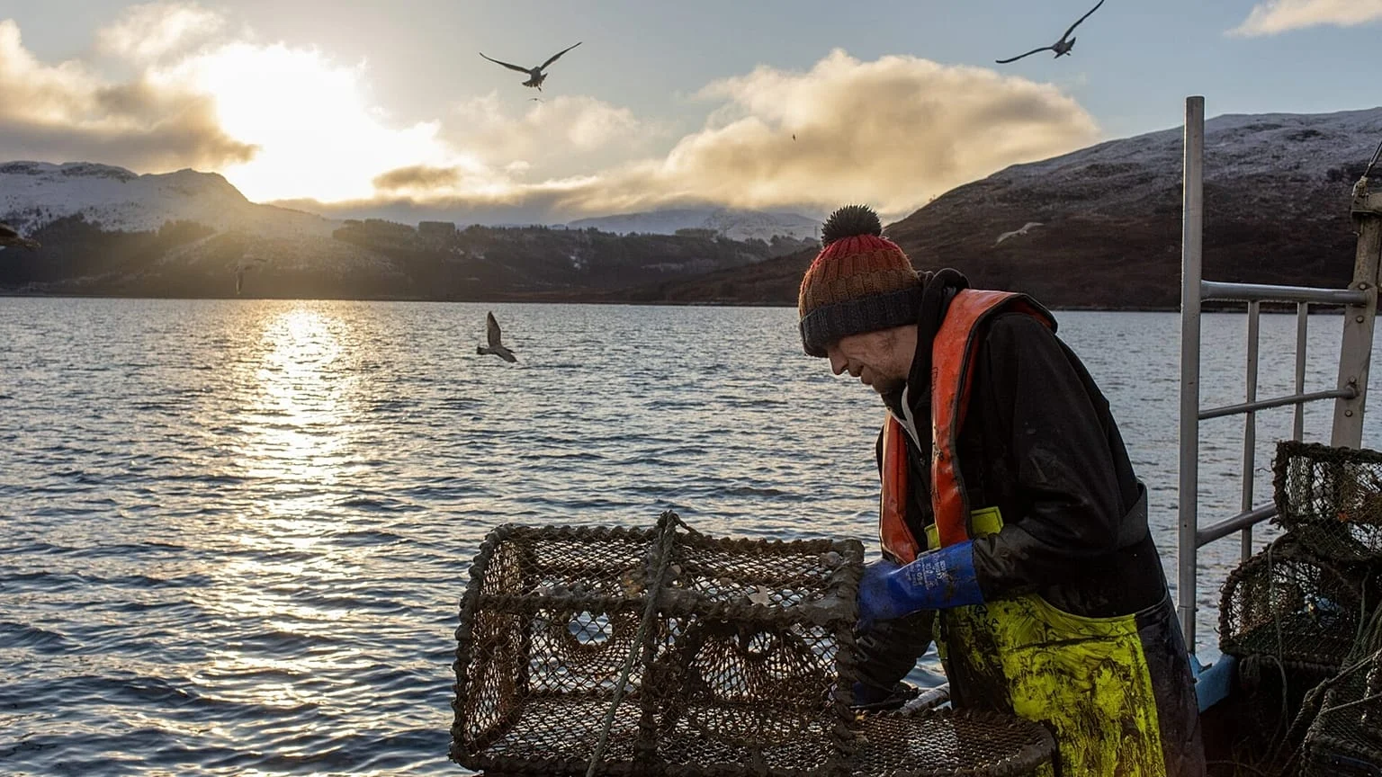 Por que a pesca de arrasto ainda é permitida na Escócia, mesmo com 37% das águas protegidas?