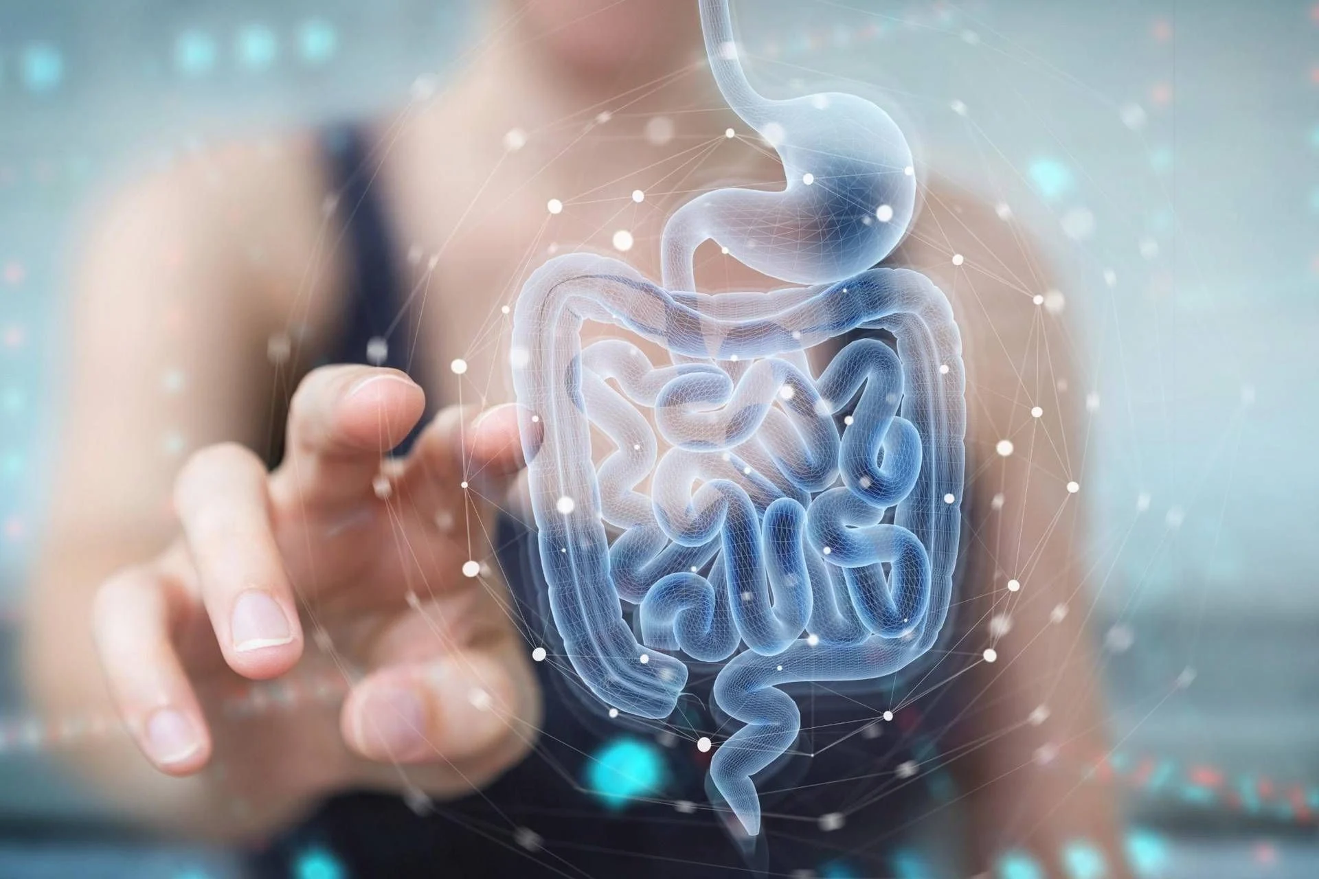 Dysosmobacter welbionis: a bactéria intestinal que pode proteger contra doenças metabólicas e fígado gordo
