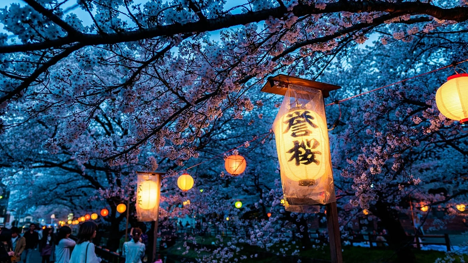 Sakura em 2026: ver as cerejeiras no Japão pode sair mais barato — guia sensorial e prático