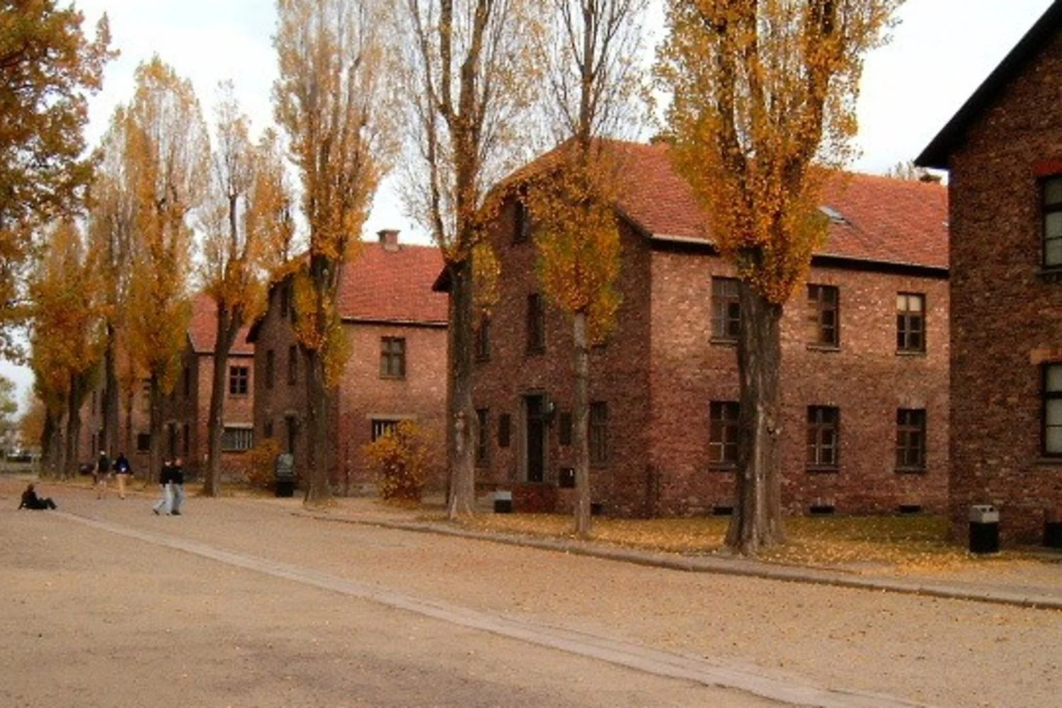 O que já se sabia sobre a Shoah antes da libertação de Auschwitz-Birkenau