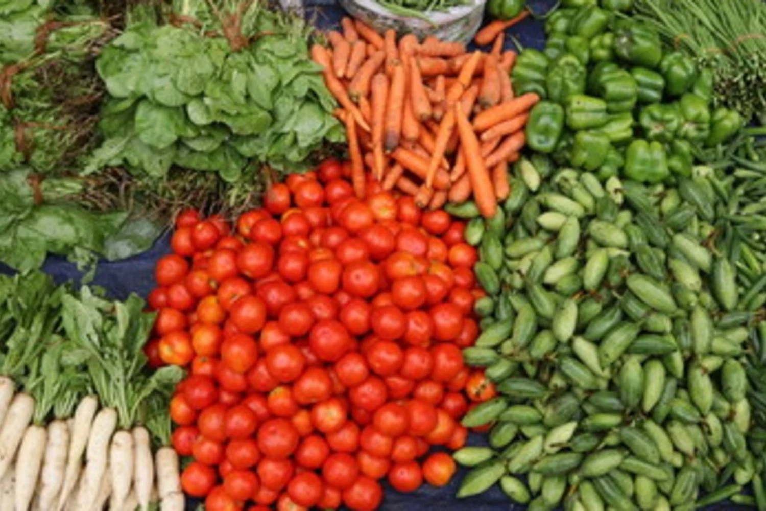 Dieta vegetal EAT-Lancet: como a alimentação protege os rins e reduz risco de doença renal crônica