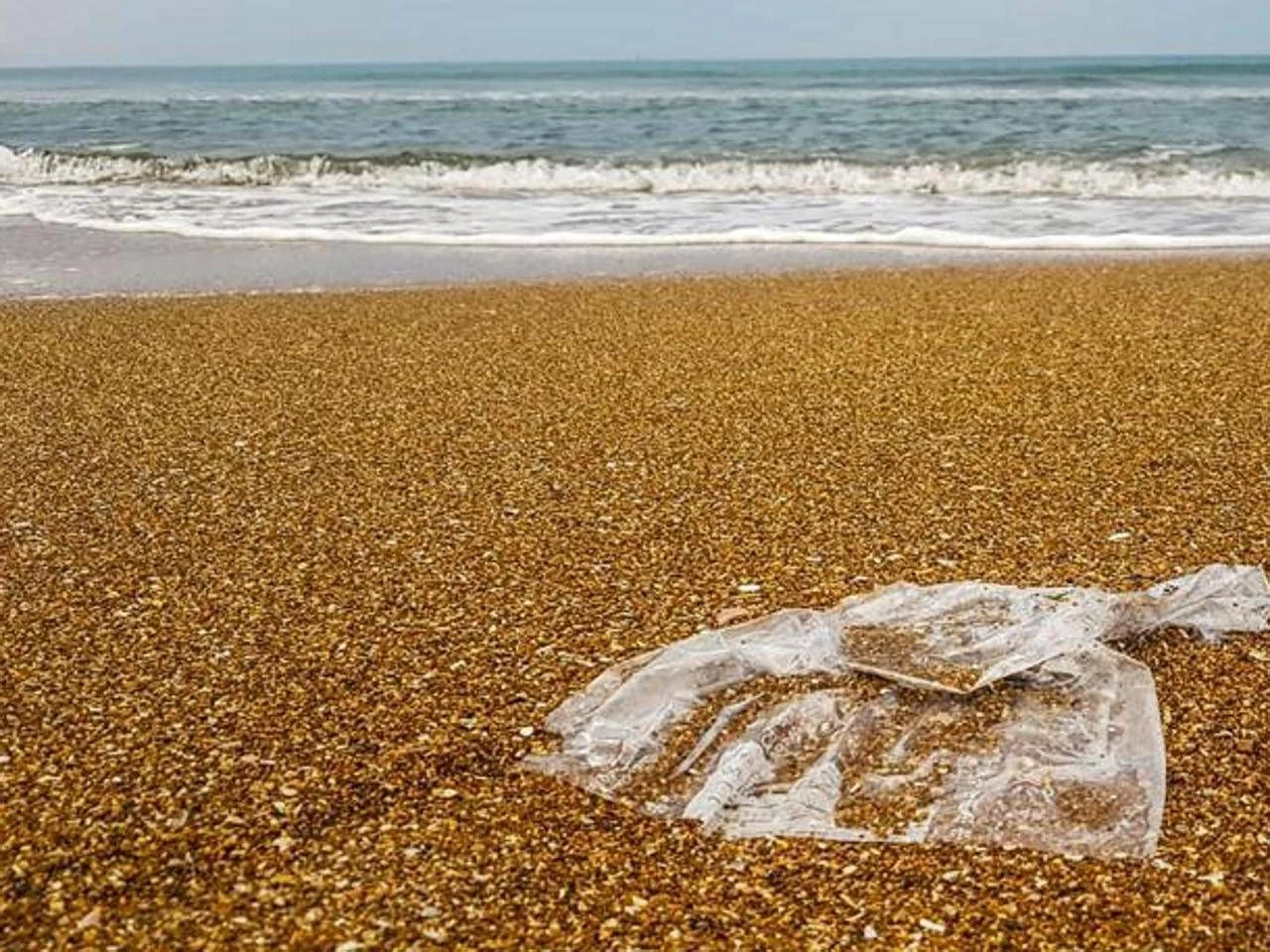 Mais de 40 mil resíduos em praias e parques em 3 anos: 80% é plástico descartável