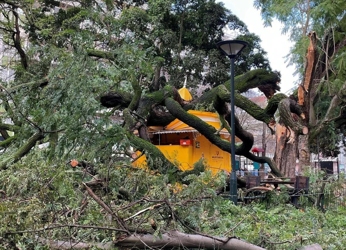 Tempestade Kristin atinge Portugal: ao menos 4 mortos e ventos de 150 km/h