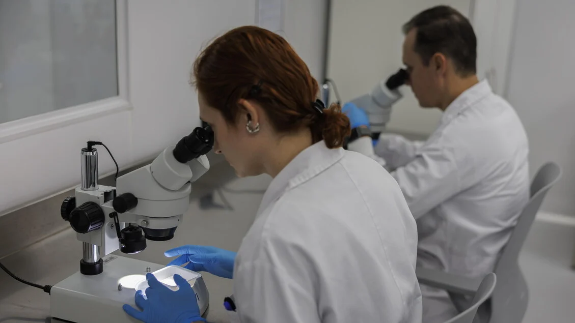 Transplante de microbiota intestinal potencializa imunoterapia em câncer de rim avançado, aponta estudo italiano